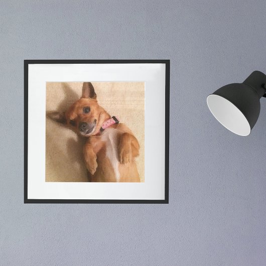 Tan Dachshund Puppy Dog Belly Pose Poster