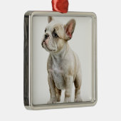 TAN EN WITTE FRANSE BULLDOG METALEN ORNAMENT (Rechts)