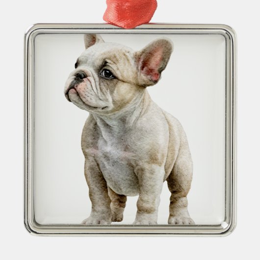 TAN EN WITTE FRANSE BULLDOG METALEN ORNAMENT (Voorkant)
