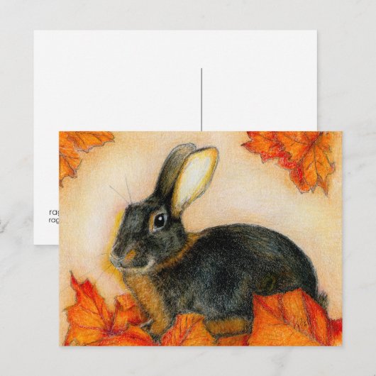 TAN EN ZWARTE BRIEFKAART (Voorkant / Achterkant)