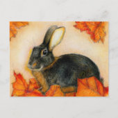 TAN EN ZWARTE BRIEFKAART (Voorkant)