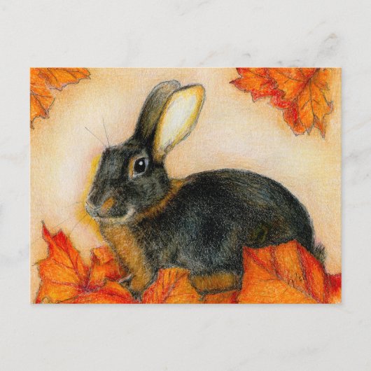 TAN EN ZWARTE BRIEFKAART (Voorkant)