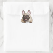 Tan Frans Bulldog Bruin / Zwart Puppy Dog Vierkante Sticker (Tas)