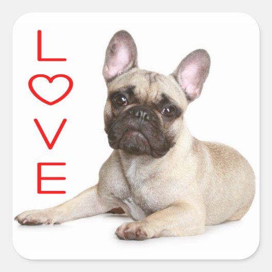 Tan Frans Bulldog Puppy Hond Rood Liefde Vierkante Sticker (Voorkant)
