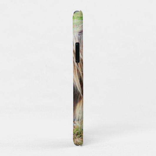 Tan gekleurde Shetland Pony, Case-Mate iPhone Case (Achterkant/rechts)