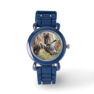 Tan gekleurde Shetland Pony, Horloge