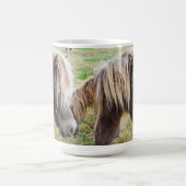 Tan gekleurde Shetland Pony, Koffiemok (Center)