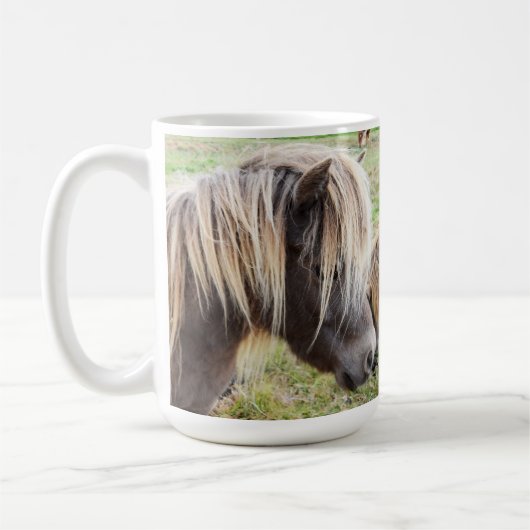 Tan gekleurde Shetland Pony, Koffiemok (Links)