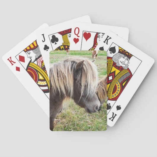 Tan gekleurde Shetland Pony, Pokerkaarten (Achterkant)