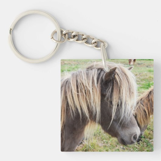Tan gekleurde Shetland Pony, Sleutelhanger (voorkant)