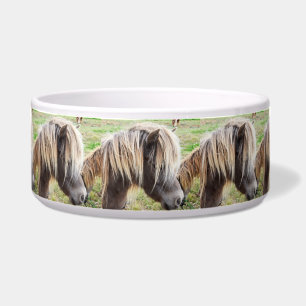 Tan gekleurde Shetland Pony, Voerbakje