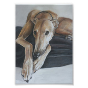 Tan Greyhound Dog Art Photo Print Foto Afdruk