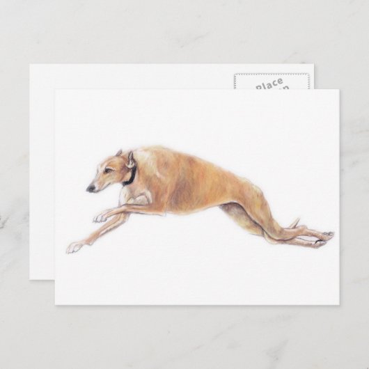 Tan Greyhound Running Dog Art Briefkaart (Voorkant / Achterkant)