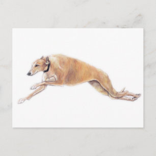 Tan Greyhound Running Dog Art Briefkaart