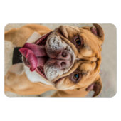 Tan Happy Dog-foto Magneet (Horizontaal)