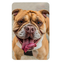 Tan Happy Dog-foto Magneet