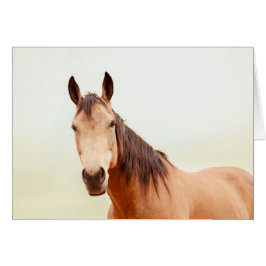 Tan horse kijkt naar je