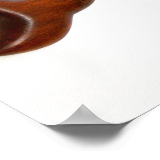 tan look-out-zeemeermin poster (Hoek)