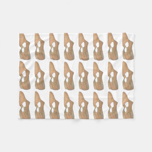 Tan Lyrical Shoe Modern Dance Dancer Choreografe Fleece Deken (Voorkant (Horizontaal))