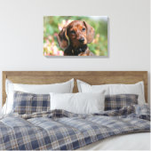 Tan Miniture Dachshund Canvas Afdruk (Insitu (Slaapkamer))