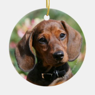 Tan Miniture Dachshund Keramisch Ornament
