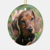 Tan Miniture Dachshund Keramisch Ornament (Links)