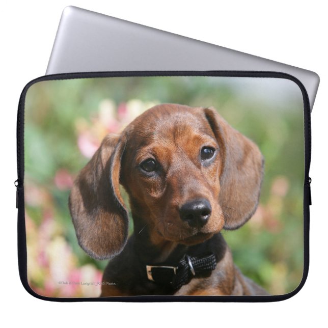 Tan Miniture Dachshund Laptop Sleeve (Voorkant)