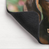 Tan Miniture Dachshund Muismat (Hoek)