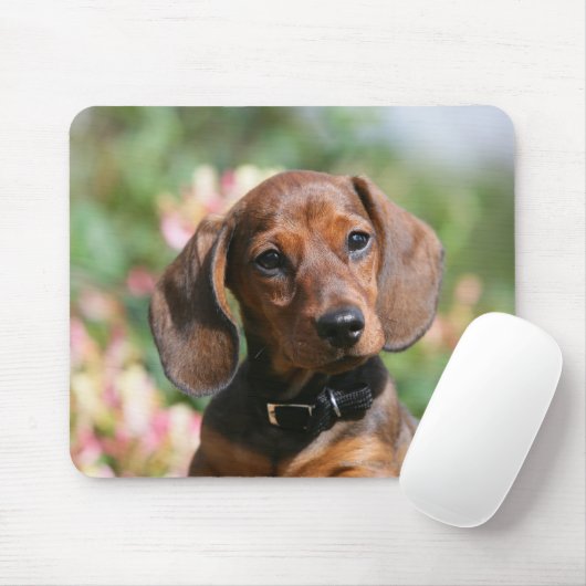 Tan Miniture Dachshund Muismat (Met muis)