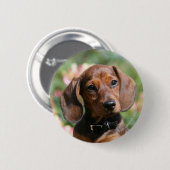 Tan Miniture Dachshund Ronde Button 5,7 Cm (Voorkant /achterkant)