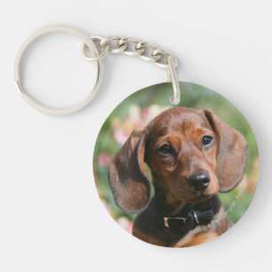 Tan Miniture Dachshund Sleutelhanger