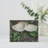 Tan Mushroom Briefkaart (Staand voorkant)