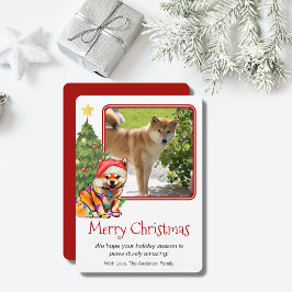 Tan Shiba Inu en kerstboom Pet Dog Eén foto Feestdagenkaart