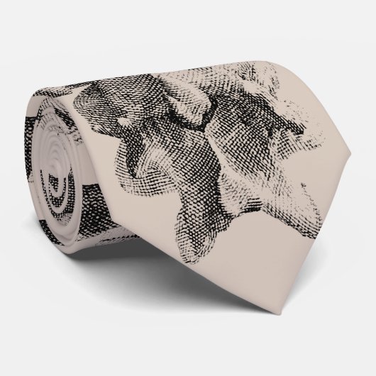 Tan Spinal Stropdas (Opgerold)