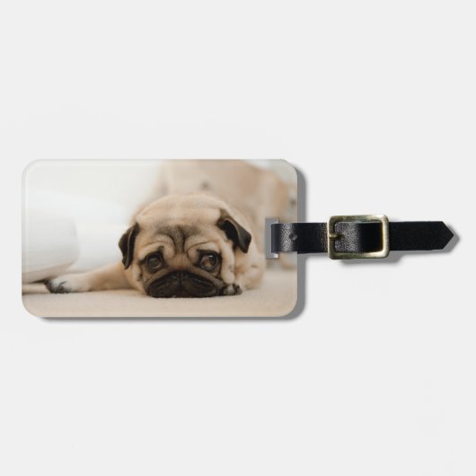 Tan Vrouw Pug Bagagelabel (Voorkant horizontaal)