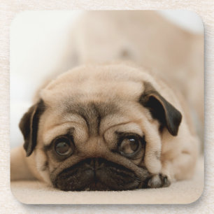 Tan Vrouw Pug Bier Onderzetter