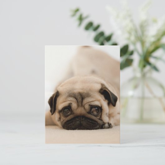 Tan Vrouw Pug Briefkaart (Staand voorkant)