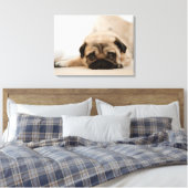 Tan Vrouw Pug Canvas Afdruk (Insitu (Slaapkamer))