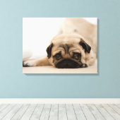 Tan Vrouw Pug Canvas Afdruk (Insitu (Houten vloer))