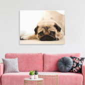 Tan Vrouw Pug Canvas Afdruk (Insitu (Woonkamer))