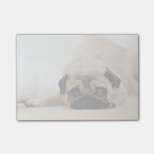 Tan Vrouw Pug Post-it® Notes