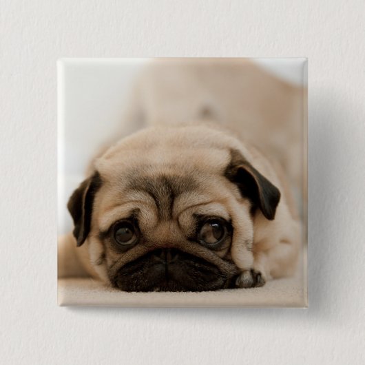 Tan Vrouw Pug Vierkante Button 5,1 Cm (Voorkant)
