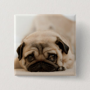 Tan Vrouw Pug Vierkante Button 5,1 Cm