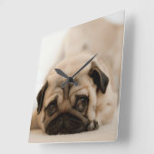 Tan Vrouw Pug Vierkante Klok (Hoek)