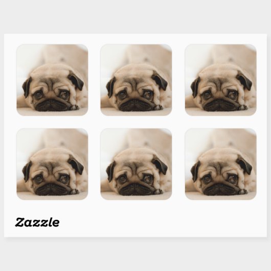 Tan Vrouw Pug Vierkante Sticker (Vel)