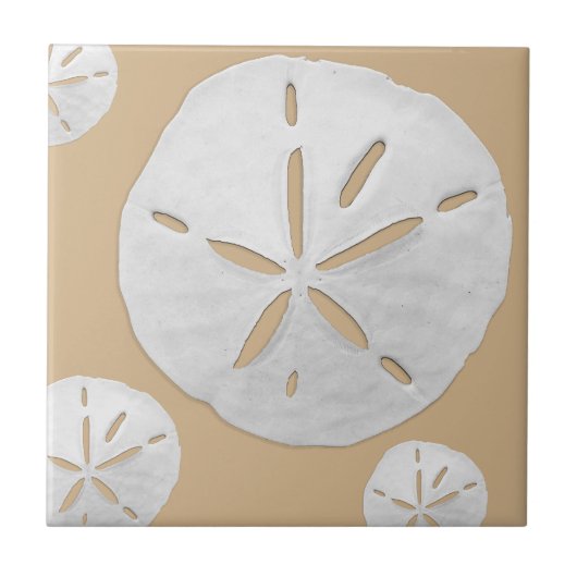 Tan & White Tropical Beach Sand Dollar Tegeltje (Voorkant)