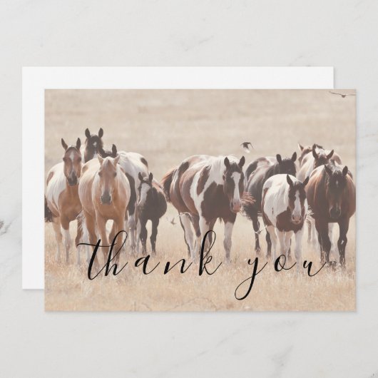 Tan witte bruine paarden plat dank je kaart (Voorkant / Achterkant)