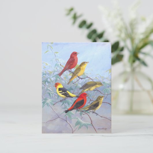 Tanager-Vintage Briefkaart (Staand voorkant)
