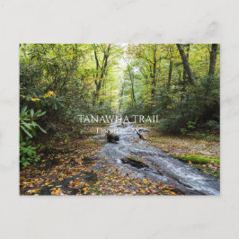 Tanawha Trail Briefkaart