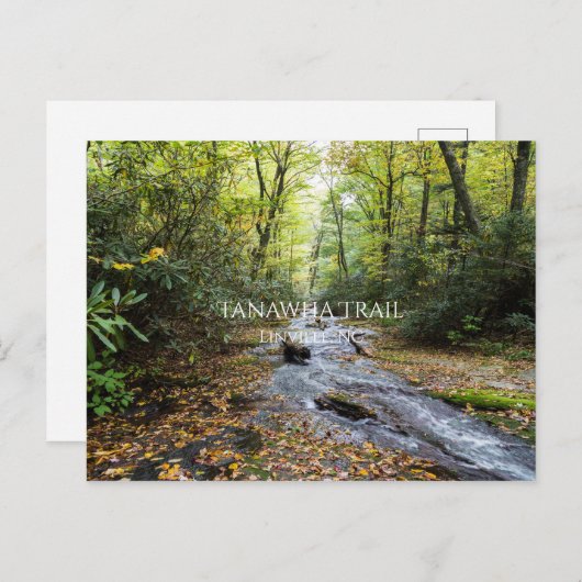 Tanawha Trail Briefkaart (Voorkant / Achterkant)